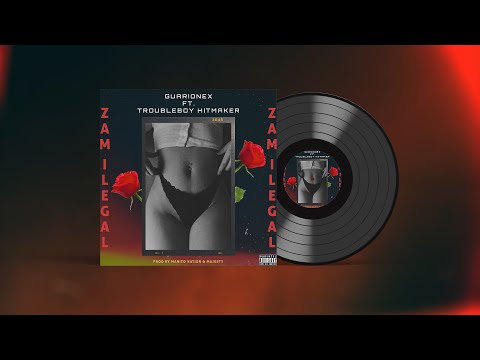 Guarionex feat. Troubleboy Hitmaker - ZAM ILEGAL ( Official Visualizer )