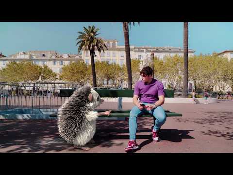 Nant’à l’appiì Ghjuventù, trovu tuttu ! - Rientrata