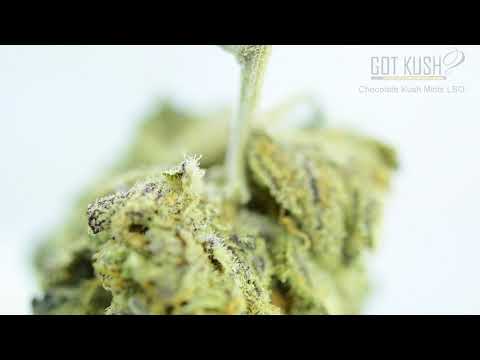 Chocolate Kush Mints Weed Strain LSO 2020 Macro