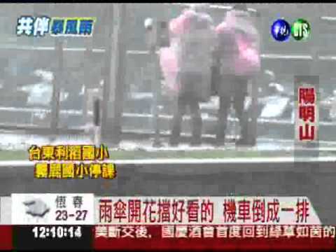 陽明山風雨刮人 文化大學停課