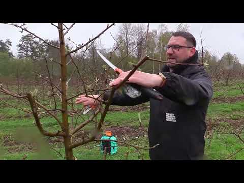 СадОгород / 16.04.2024