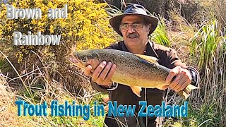 Download Lagu Trout Fishing Flaxy lake and Rangitaiki River for Big Trout In NZ Ep 178 Thumbnail