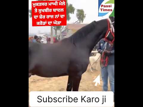Sukhbir Badal de crora de ghode maghi Mela te2023#Viral #Trending #Instagram #Youtube