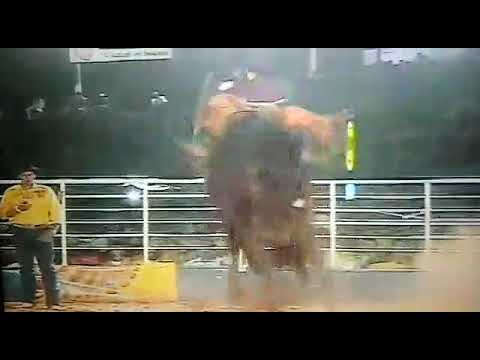 Helio Antonio Filho animal [mundo novo] Cia Paio Jales 2006. Página Profissão Atletas de rodeio