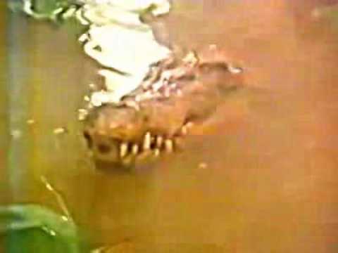 Apple Macintosh Plus Commercial (1986) [Widescreen]