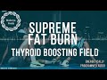 Supreme Fat Burn & Metabolic Optimizer / Energetically Programmed Audio / Maitreya Reiki™