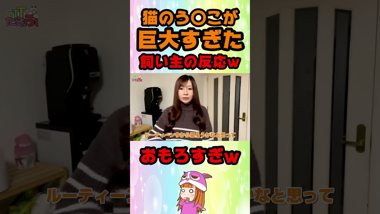 猫の糞が巨大すぎた時の飼い主の反応w #たろっぷ #はなっぷ#イタズラ