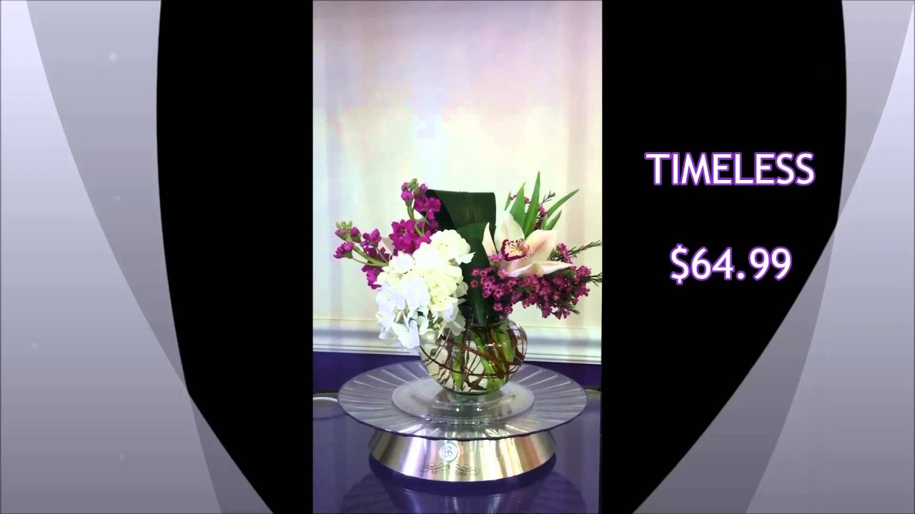 Timeless by Cactus Flower Florists