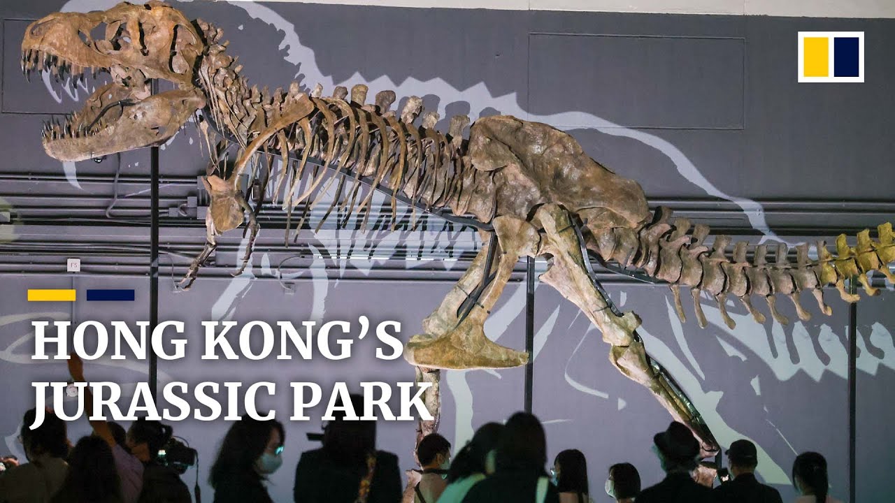 Watch families and kids enjoy learning science in a fun way.