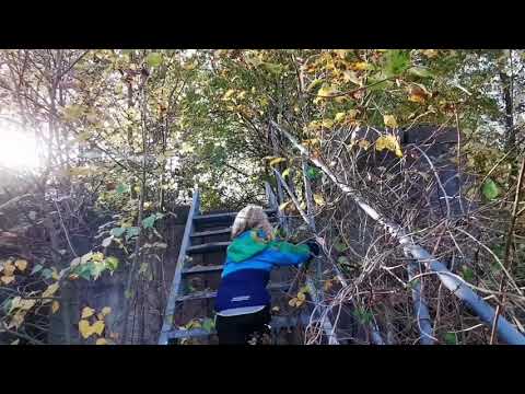 DEN KONSTIGA SOPTIPPEN vid den GAMLA FABRIKEN - 201024 - Johannishus - RONNEBY (Huawei p30 PRO)