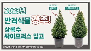 2023년도를 책임질 반려식물 추천!! "알피카", "스피츠베르겐" 농원 입고완료!!