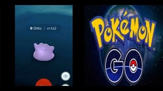 HOW TO FIND DITTO IN POKEMON GO!?!?!