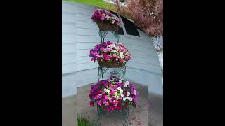 Цветочные идеи для сада! #сад #gardening #garden