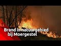 Er woedt een brand in de bossen tussen Tilburg en Moergestel. De brandweer is met veel materieel ...