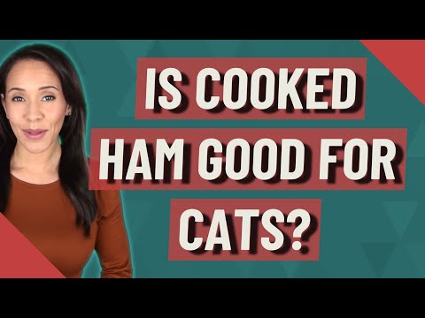 Is cooked ham good for cats?