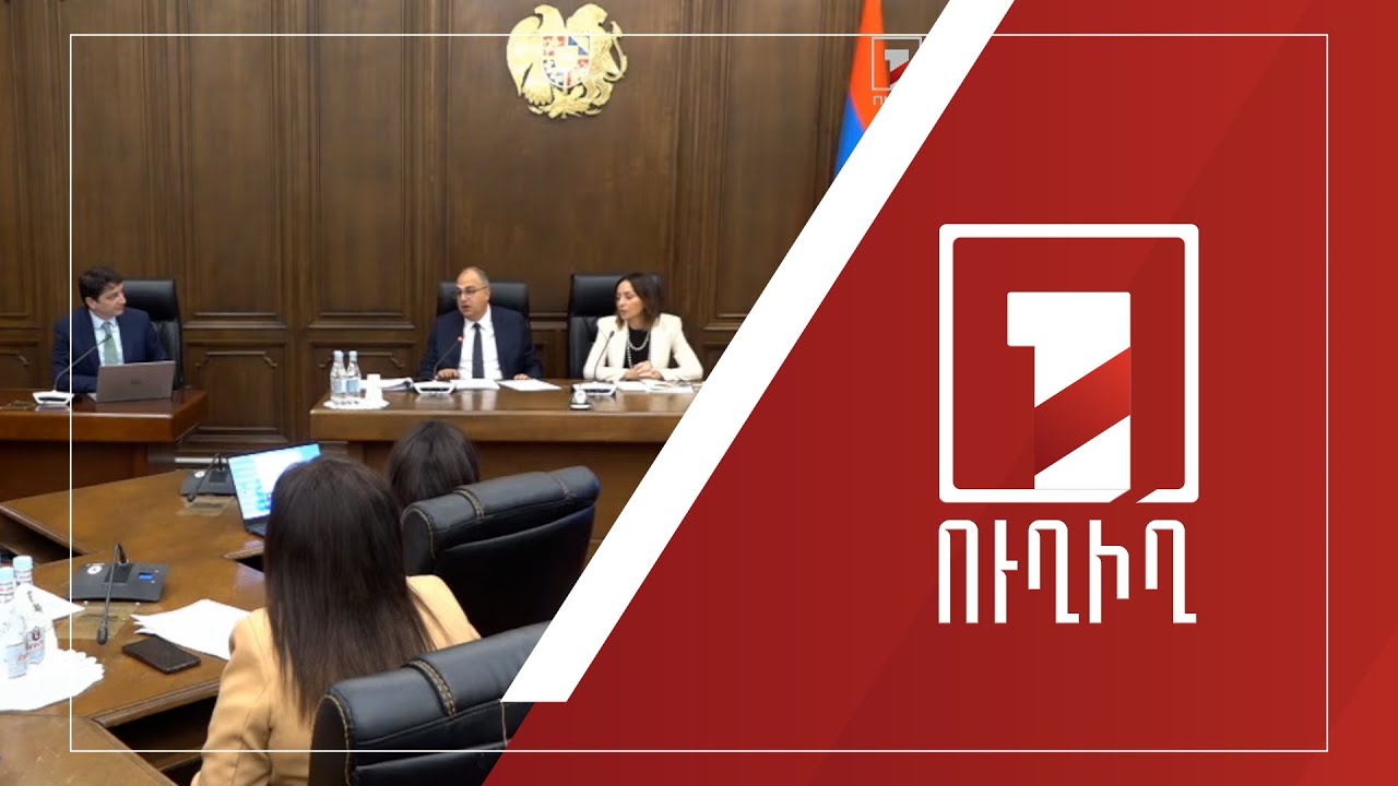 2024-ի պետբյուջեի կատարողականը՝ ԱԺ մշտական հանձնաժողովների համատեղ նիստում | ՈՒՂԻՂ