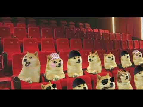 tikatuli dog version😅 doge funny video,
