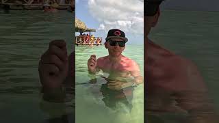 Do you pee in the water? #travel #cruise #excursion #royalcaribbean #utopiaoftheseas #pee #shorts