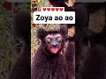 Tag Zoya Zoya Zoyaname Tagzoya