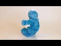 Tickle Me Cookie Monster Demonstration