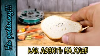 Как правильно насадить хлеб на крючок удочки