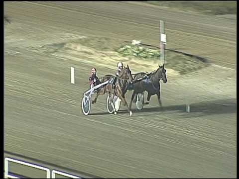 Trotto 03/02/2017 - prova di qualifica