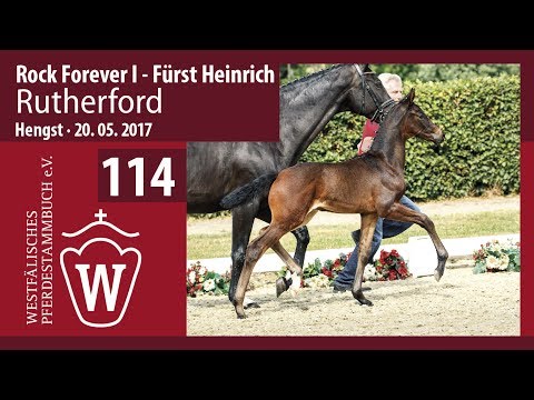 114 Rutherford  Hengst v. Rock Forever I - FürstHeinrich