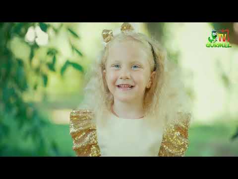 Licuricii - Motănică 4K