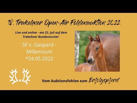 Kat.-Nr.1 SF v. Gaspard - Millennium