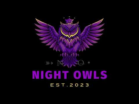 NIGHT OWLS BGM REMIX