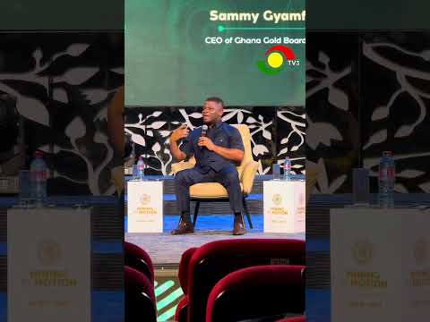 2027 Budget to Introduce Incentives for Refineries and Value Addition - Sammy Gyamfi