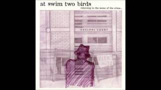 At Swim Two Birds - Down by the Stream