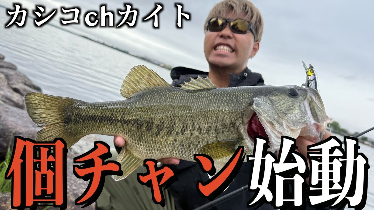 【カシコchカイト】個人チャンネル始めます！！！