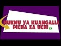 HUKMU YA KUANGALIA VIDEO PICHA ZA UCHI NGONO SHYKHU SWAALEH ALFAUZAANI ALLAH AMUHIFADHI