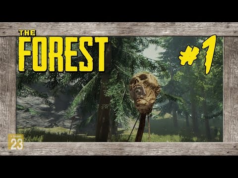 The Forest #1 - Bruchlandung im Wald - [Let's Play/Gameplay/Deutsch]