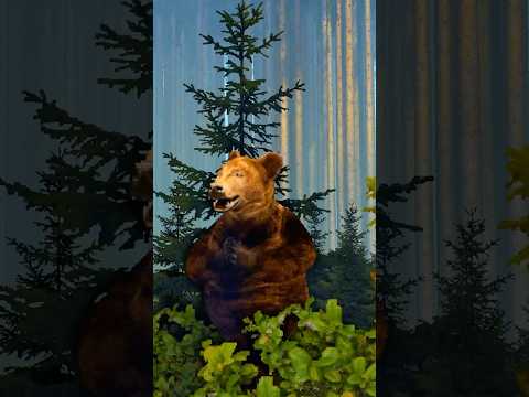 New Sandbox Game Trailer - VOIMA 🐻 #sandboxgame #IndieGame