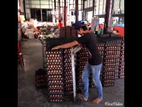 ความอ่อนแอชายแรง ค้อนของ ธ อร์ไปยังเกาะRügen