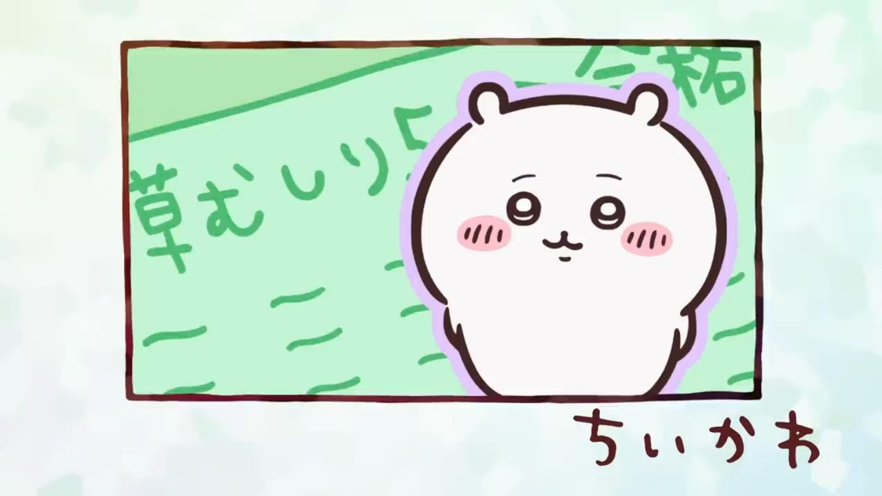 【ちいかわ】「何回でも、ずっと応援するからね。」ハチワレの一言はいつも暖かくて胸に沁みる尊さ#ちいかわ#ハチワレ#草むしり検定#chiikawa