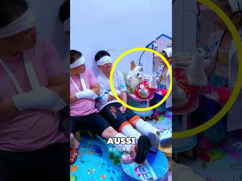 Tout le monde soutient la jeune fille dans son rêve 😯❤️