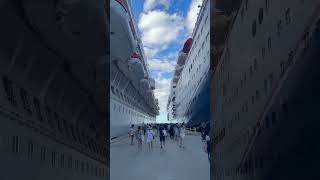 Carnival Dream and Paradise docked in Cozumel! #carnivalparadise #carnivaldream #cruise