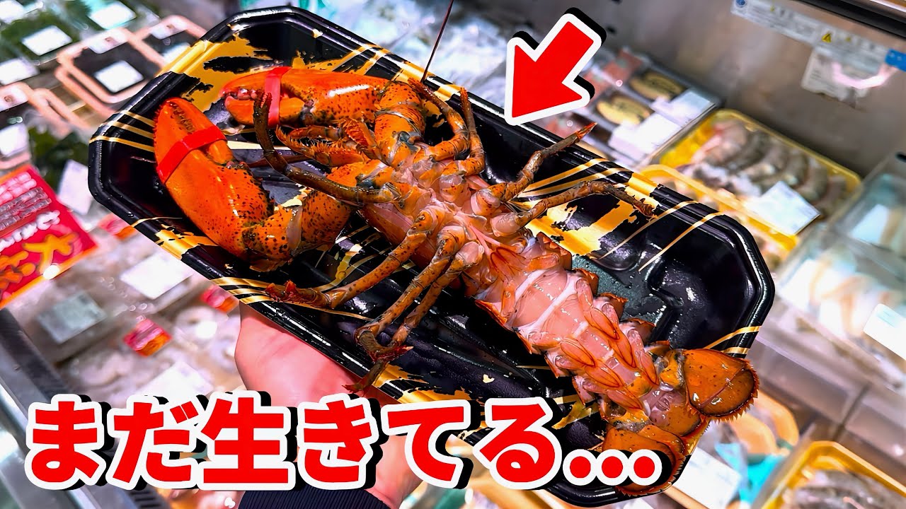 スーパーに売れ残っていた瀕死のロブスターを飼育してみると…