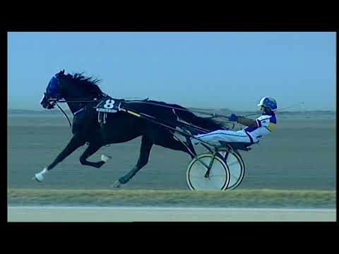 Napoli Trotto 23/07/2021 - 1ª corsa