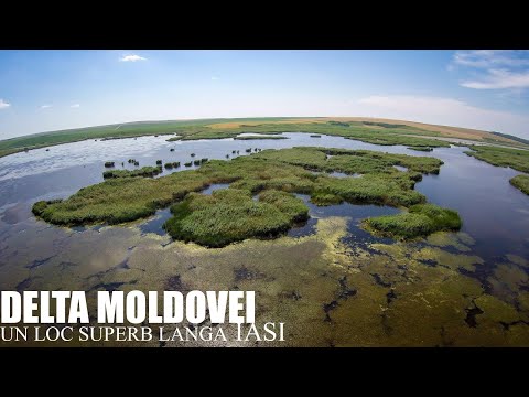 🌊Delta Moldovei🌊 - Un Loc Superb Langa Iasi 🚤