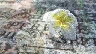 DIoS QuieRA QUe tU-El trono de mexico