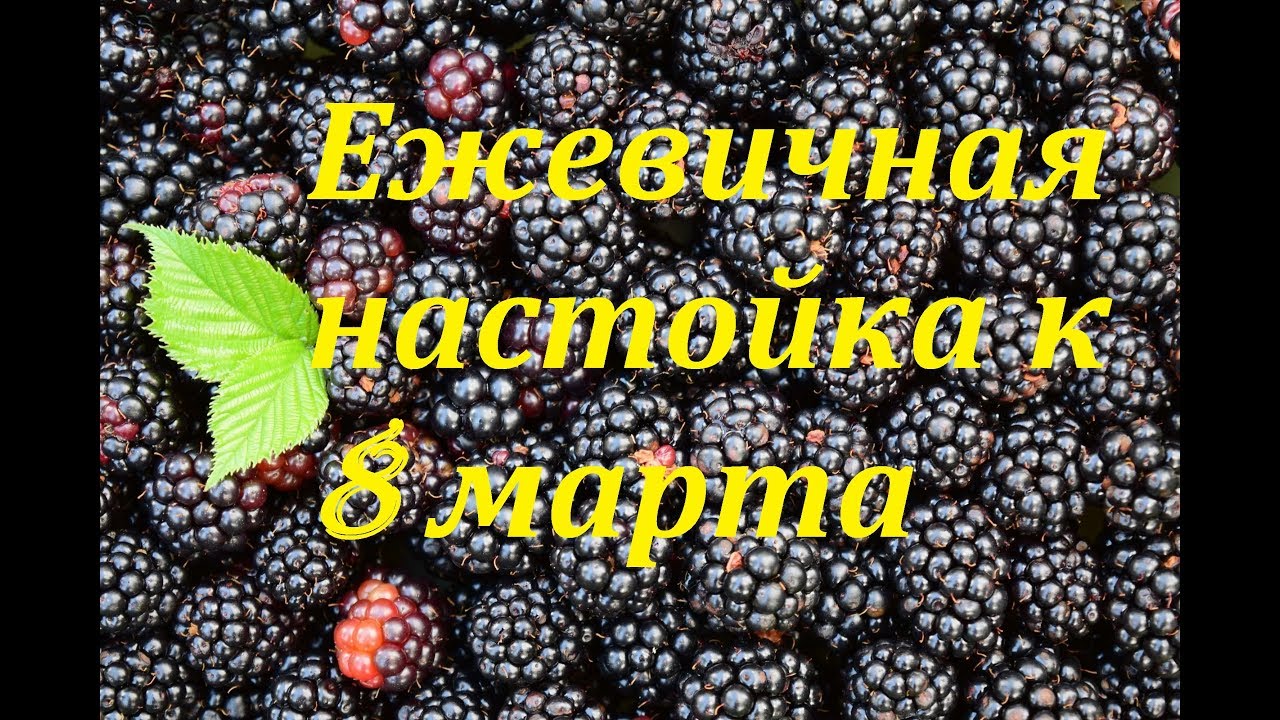 Ежевичная Настойка. К празднику 8 Марта.