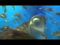 FINDING NEMO 3D Exit Buddy Clip