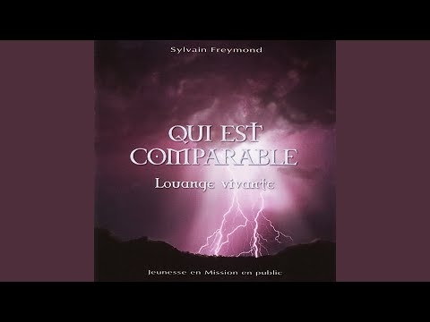 Béni soit le nom du Seigneur (Live)