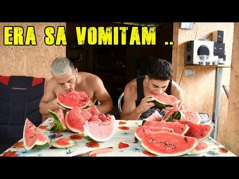 Cine pierde LINGE URECHEA unui IEPURE :))  CHALLENGE cu ORZAnimale Video