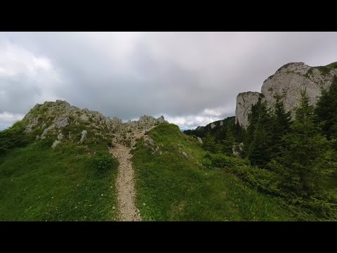 Traseu Canionul 7 Scari - Varful Piatra Mare