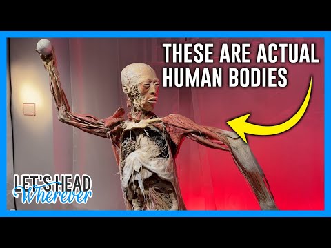 REAL BODIES EXHIBIT – LAS VEGAS